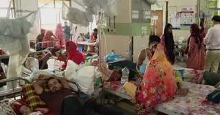 বাড়ছে ডেঙ্গু রোগীর সংখ্যা, যা বলছেন চিকিৎসকরা